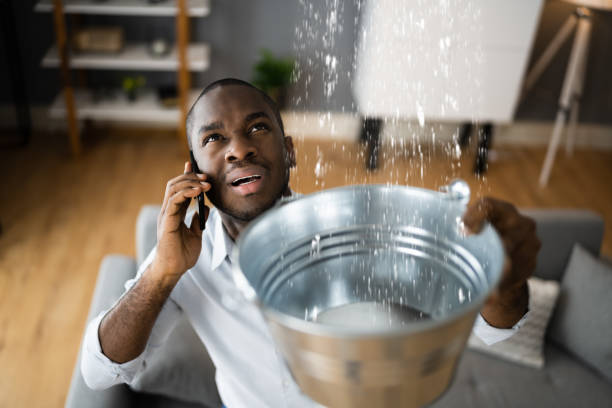 Best Professional water damage repair  in , SD
