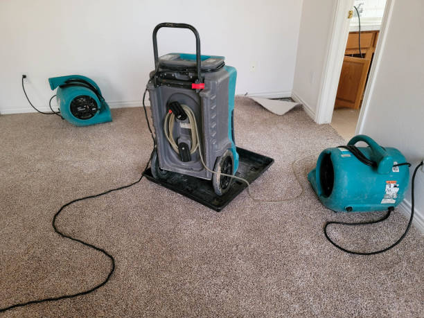 Best Water damage restoration near me  in , SD