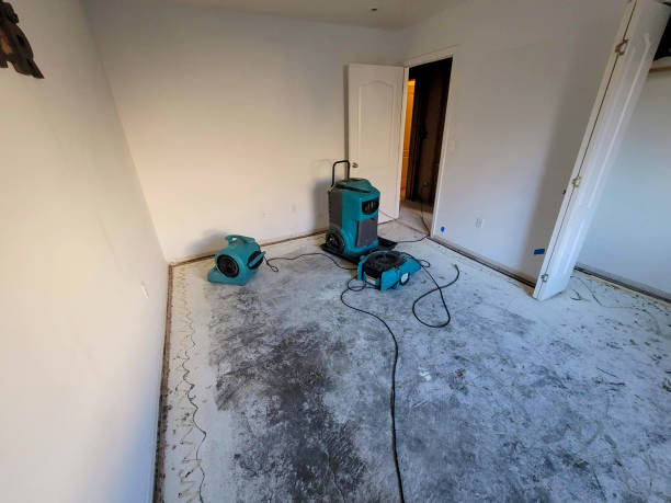 Best Sewage cleanup and water damage restoration  in , SD