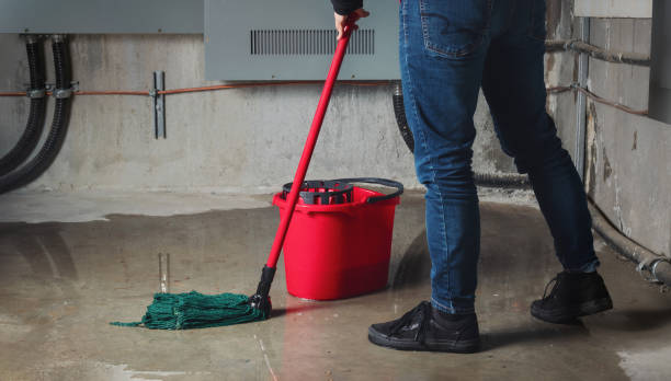 Best Flood damage cleanup  in , SD