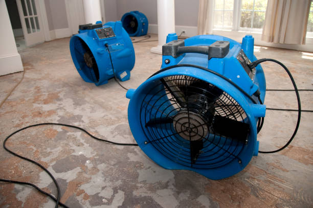 Best Water damage restoration near me  in , SD