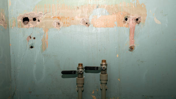 Best Water damage contractors near me  in , SD