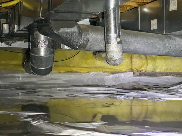 Best Flood restoration services  in , SD