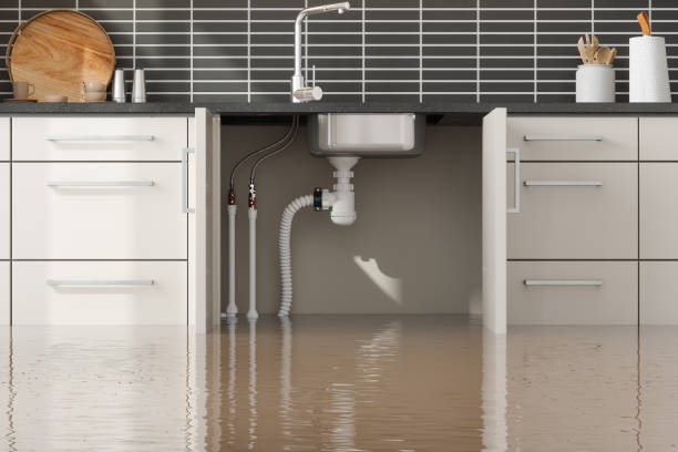 Best Mold removal after water damage  in , SD