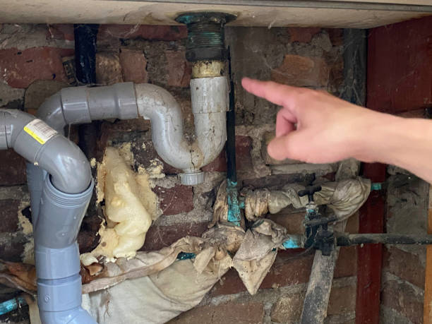 Best Professional water damage repair  in , SD