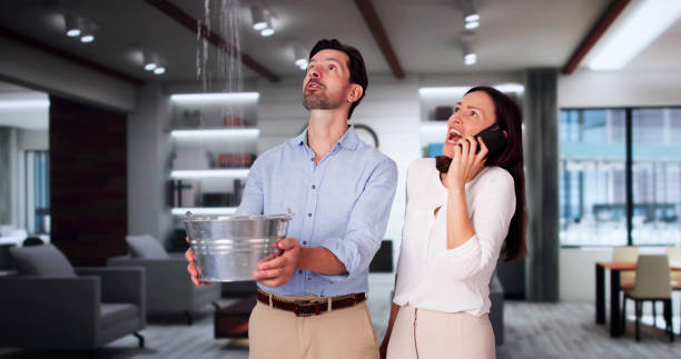 Best 24/7 water damage repair  in , SD